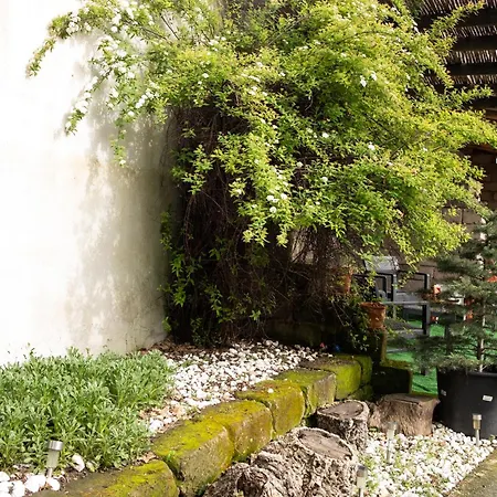 招待所 Sa Burra 3*