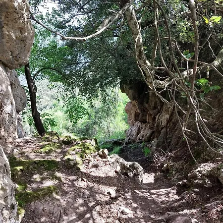 Sa Burra