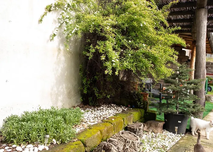 Πανσιόν Sa Burra 3*