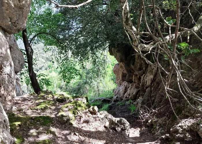 Sa Burra